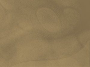 平台最新趋势解读